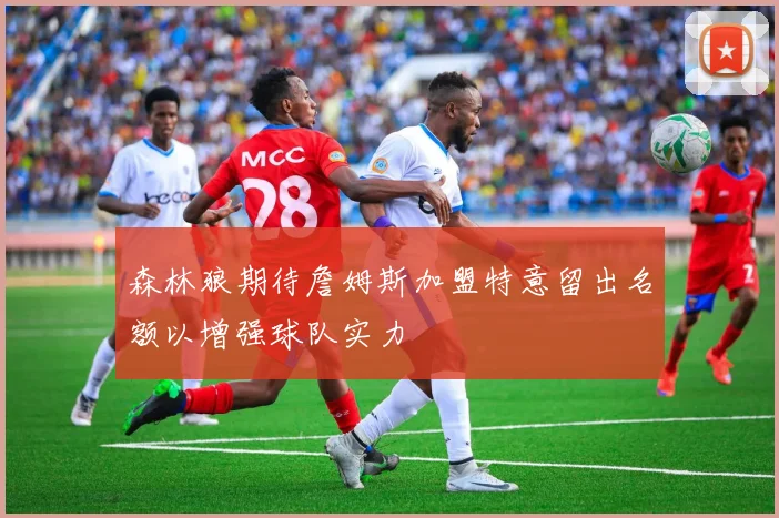 森林狼期待詹姆斯加盟特意留出名额以增强球队实力