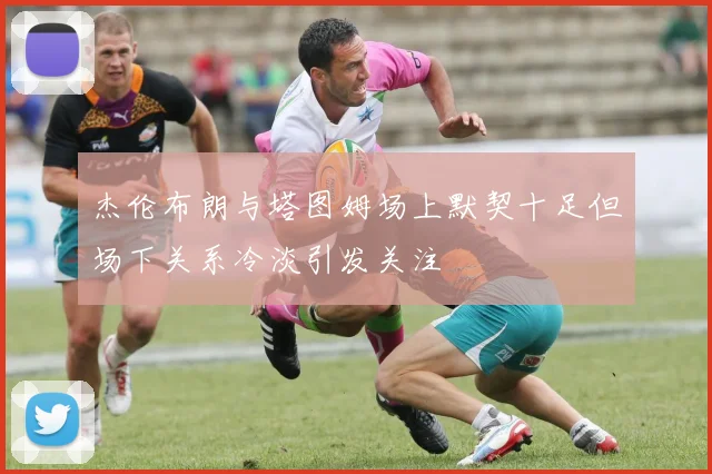 杰伦布朗与塔图姆场上默契十足但场下关系冷淡引发关注